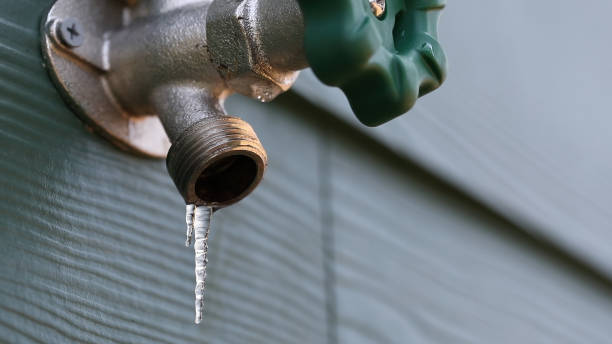 Best Local Plumber Services  in Huntington, TX